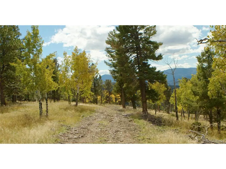 12434 S Us Hwy 285, Conifer, CO 80433 - #2