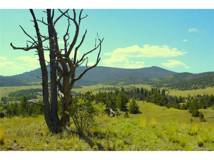 Address Withheld By Seller, Guffey, CO 80820 - #3