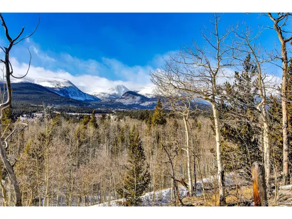 96 Dead Toad Rd, Alma, CO 80420