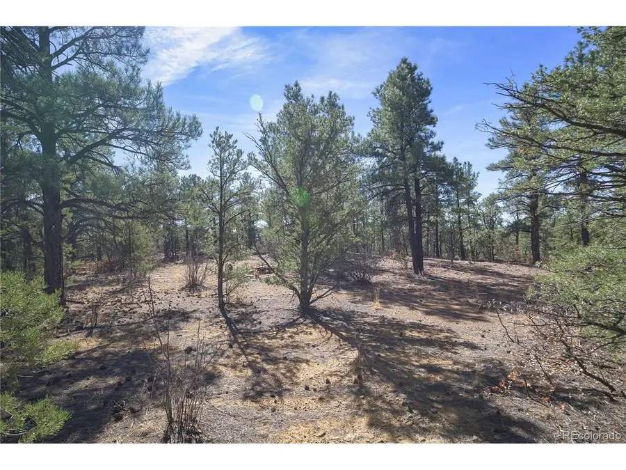 Rancho La Garita Lot 1129, Weston, CO 81091 - #2