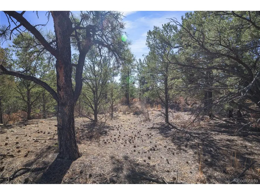 Rancho La Garita Lot 1129, Weston, CO 81091 - #3