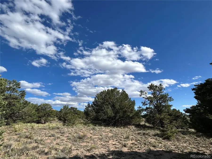 322 Holiday Overlook, Crestone, CO 81131 - #3