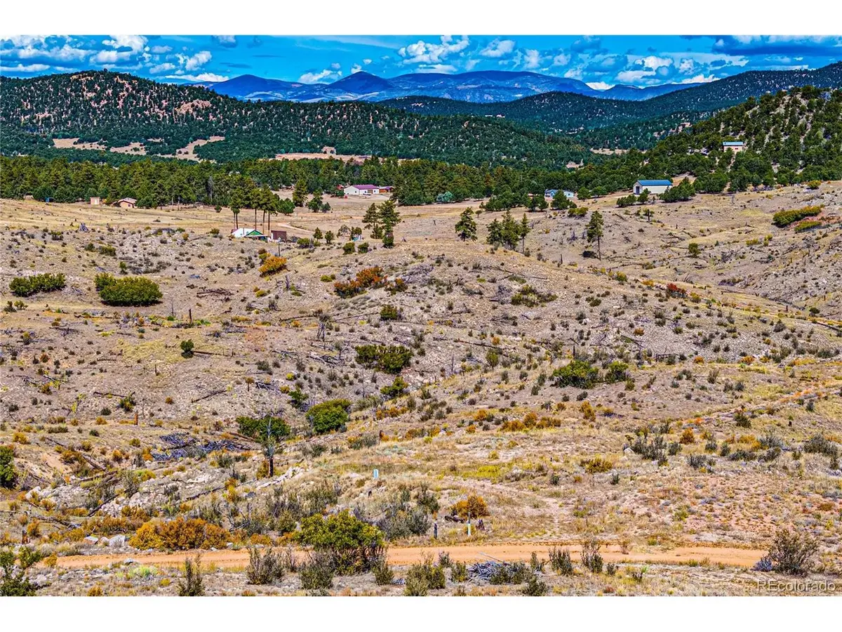 701 Shannon Trl, Cotopaxi, CO 81223 - #1