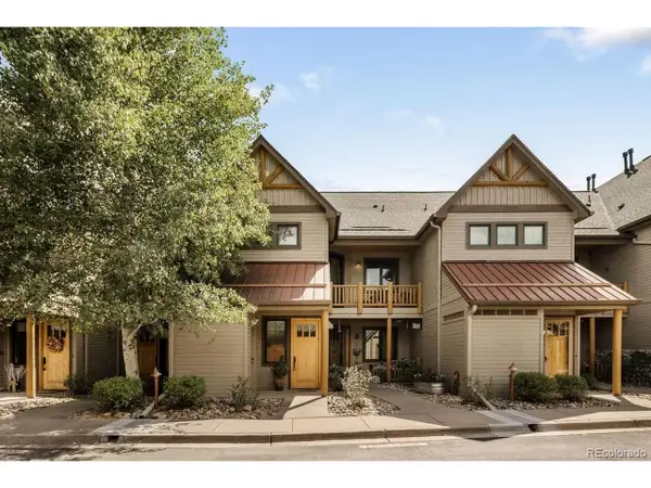 31276 Stone Canyon Rd #204, Evergreen, CO 80439