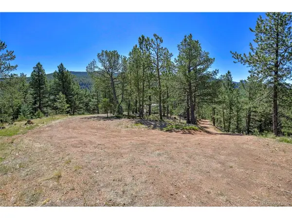 20083 S State Highway 67, Divide, CO 80814