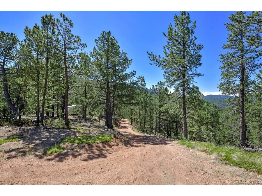 20083 S State Highway 67, Divide, CO 80814 - #2