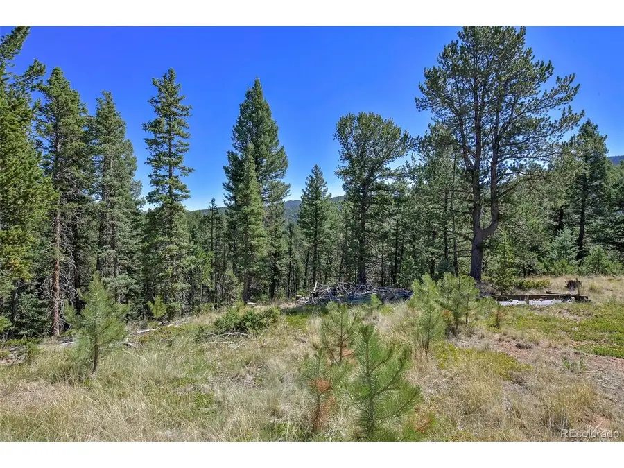 20083 S State Highway 67, Divide, CO 80814 - #3