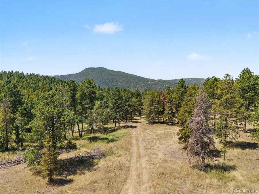 Address Withheld By Seller, Conifer, CO 80433 - #2