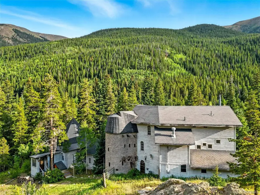 1493 Silver Valley Rd, Silver Plume, CO 80476 - #3