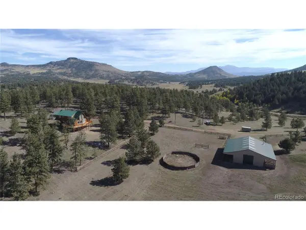 1321 Bristlecone Rd, Guffey, CO 80820