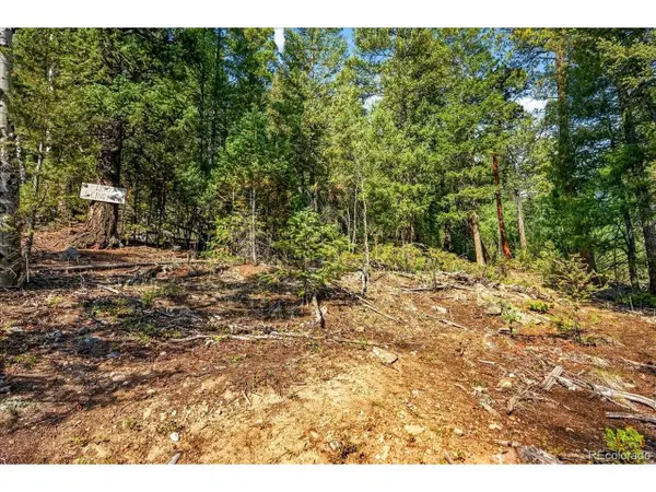 12907 S Cindy Ave, Pine, CO 80470