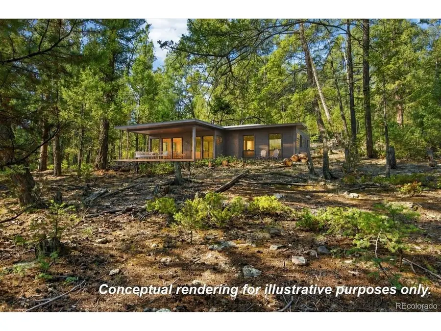 12907 S Cindy Ave, Pine, CO 80470 - #3