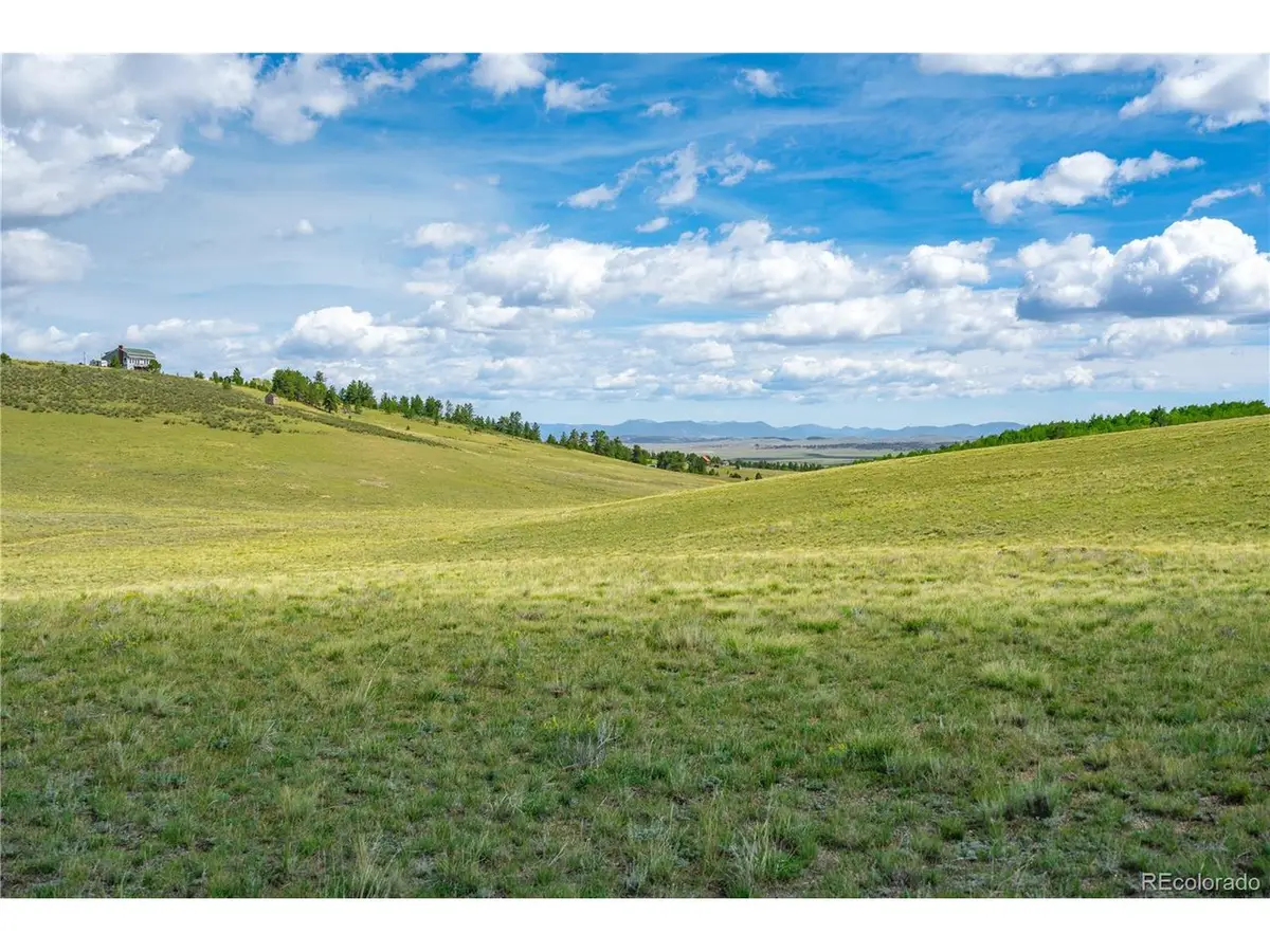 635 Hereford Dr, Hartsel, CO 80449 - #1