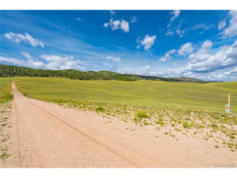 635 Hereford Dr, Hartsel, CO 80449 - #3