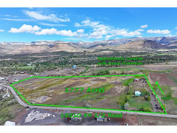 15510 59 1/2 Rd, Collbran, CO 81624
