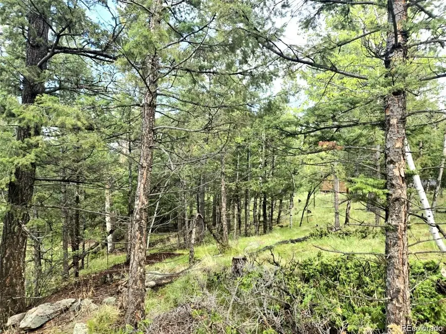 1845 Burland Dr, Bailey, CO 80421 - #2