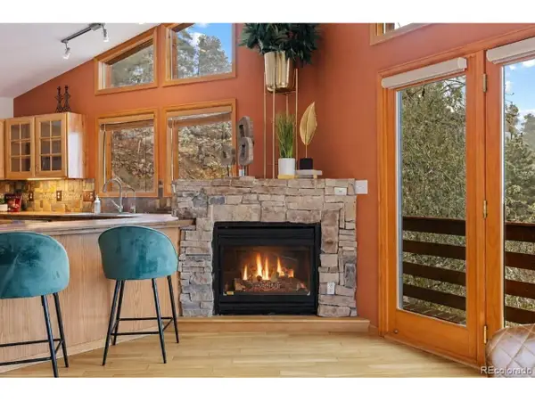 745 N Pine Dr, Bailey, CO 80421