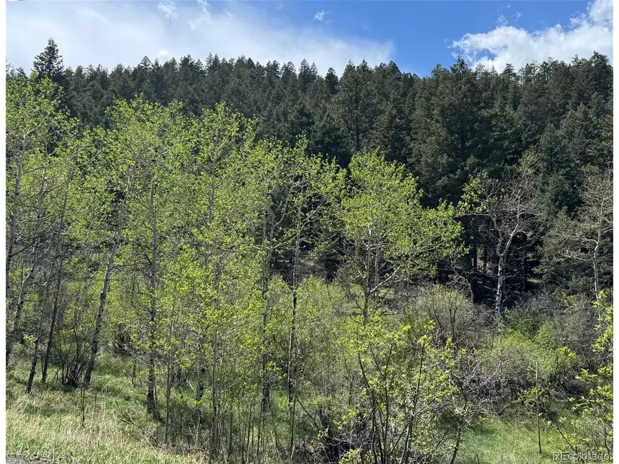 S Maxwell Hill Rd, Littleton, CO 80127 - #2