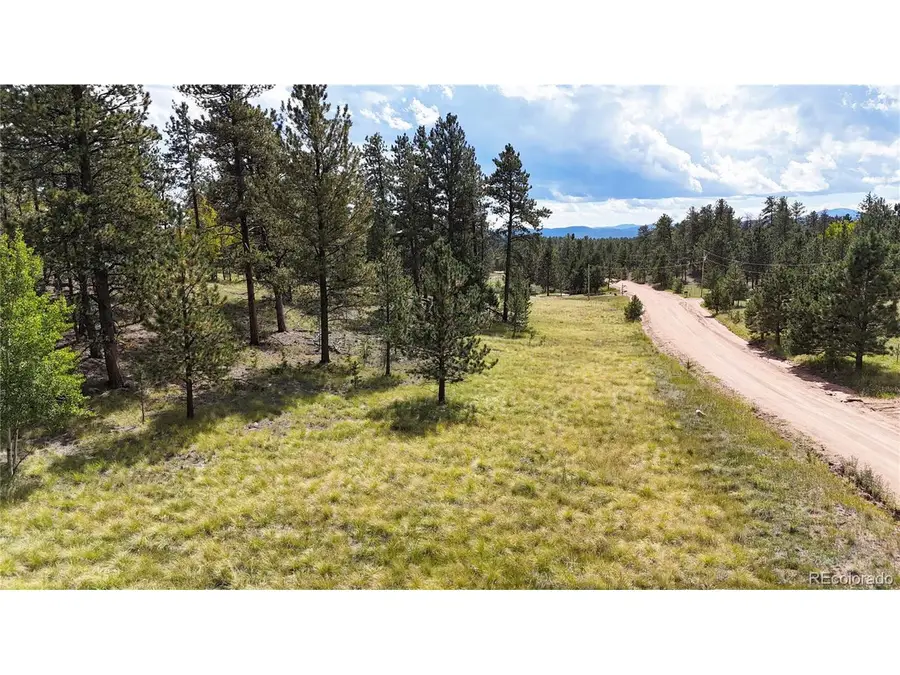 2265 Vagabond Creek Dr, Lake George, CO 80827 - #2