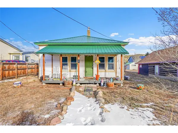 147 E 1st St, Nederland, CO 80466