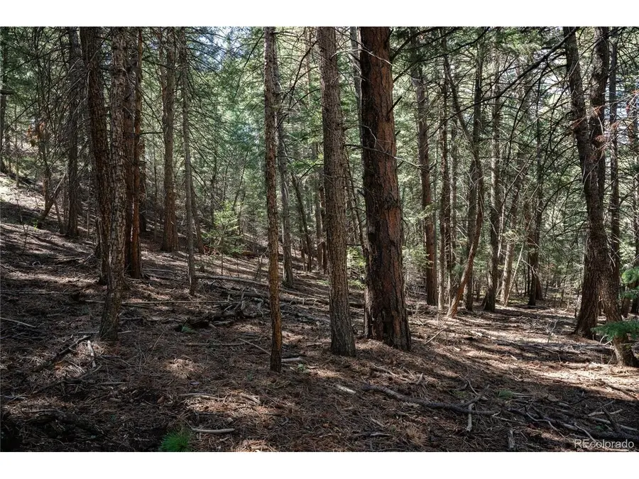 0 Aspen Ln, Golden, CO 80401 - #3