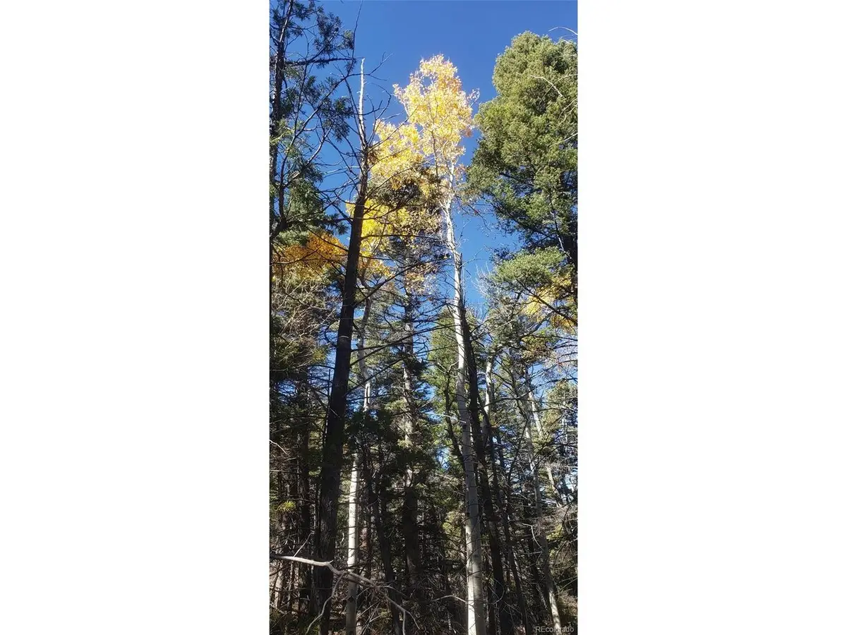 5019 Jensen Rd, Fort Garland, CO 81133 - #1