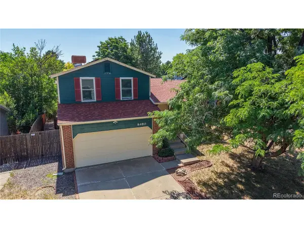 8480 Rabbitbrush Way, Parker, CO 80134