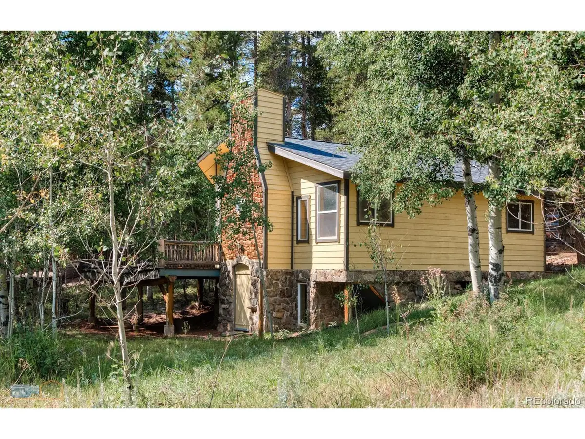 423 Mountain Meadows Dr, Black Hawk, CO 80422 - #1
