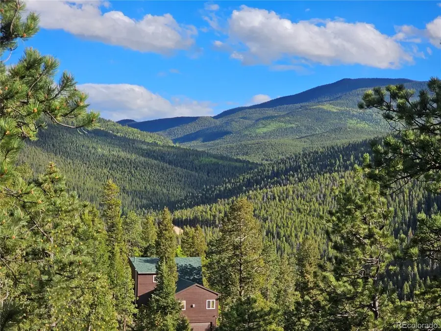 32783 Lodgepole Cir, Evergreen, CO 80439 - #3