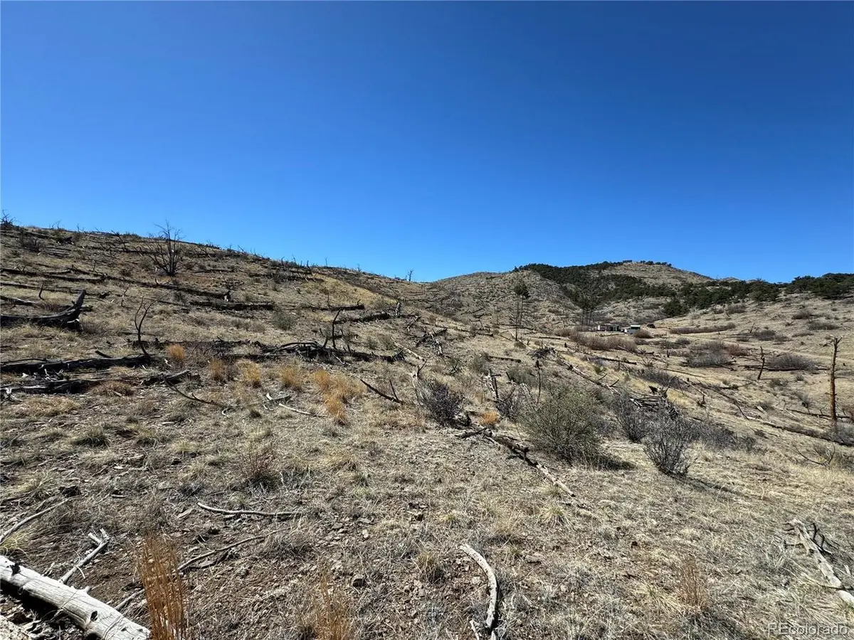 32 F Path, Cotopaxi, CO 81223 - #1