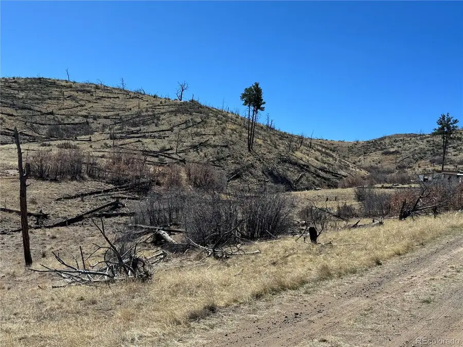 32 F Path, Cotopaxi, CO 81223 - #3