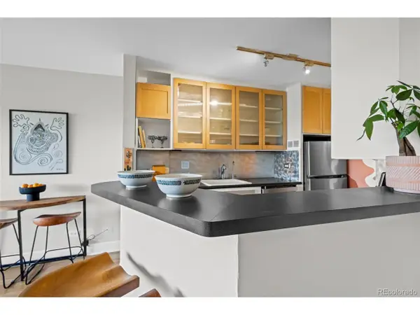 800 N Washington St #908, Denver, CO 80203