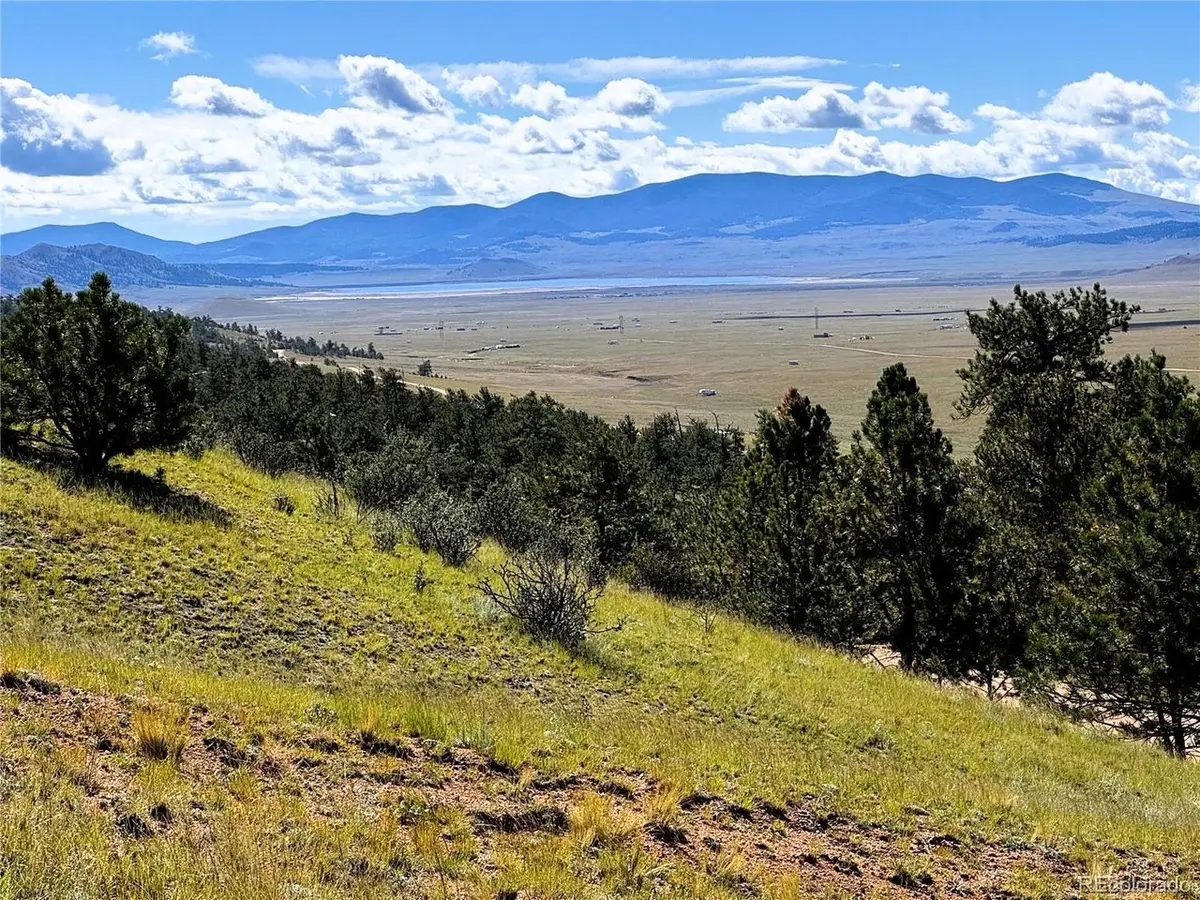 2669 Settele Dr, Hartsel, CO 80449 - #1