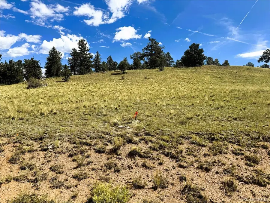 2669 Settele Dr, Hartsel, CO 80449 - #2