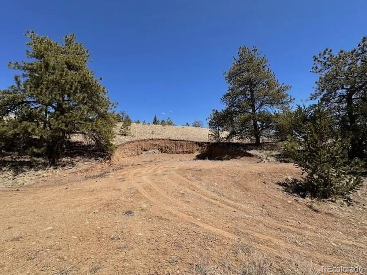 2972 Fitzsimmons, Hartsel, CO 80449 - #1