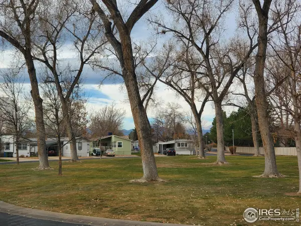 1166 Madison Ave #210, Loveland, CO 80537