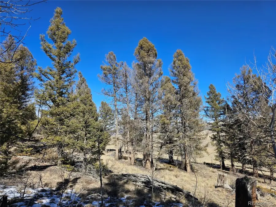 1412 Redhill Rd, Fairplay, CO 80440 - #3