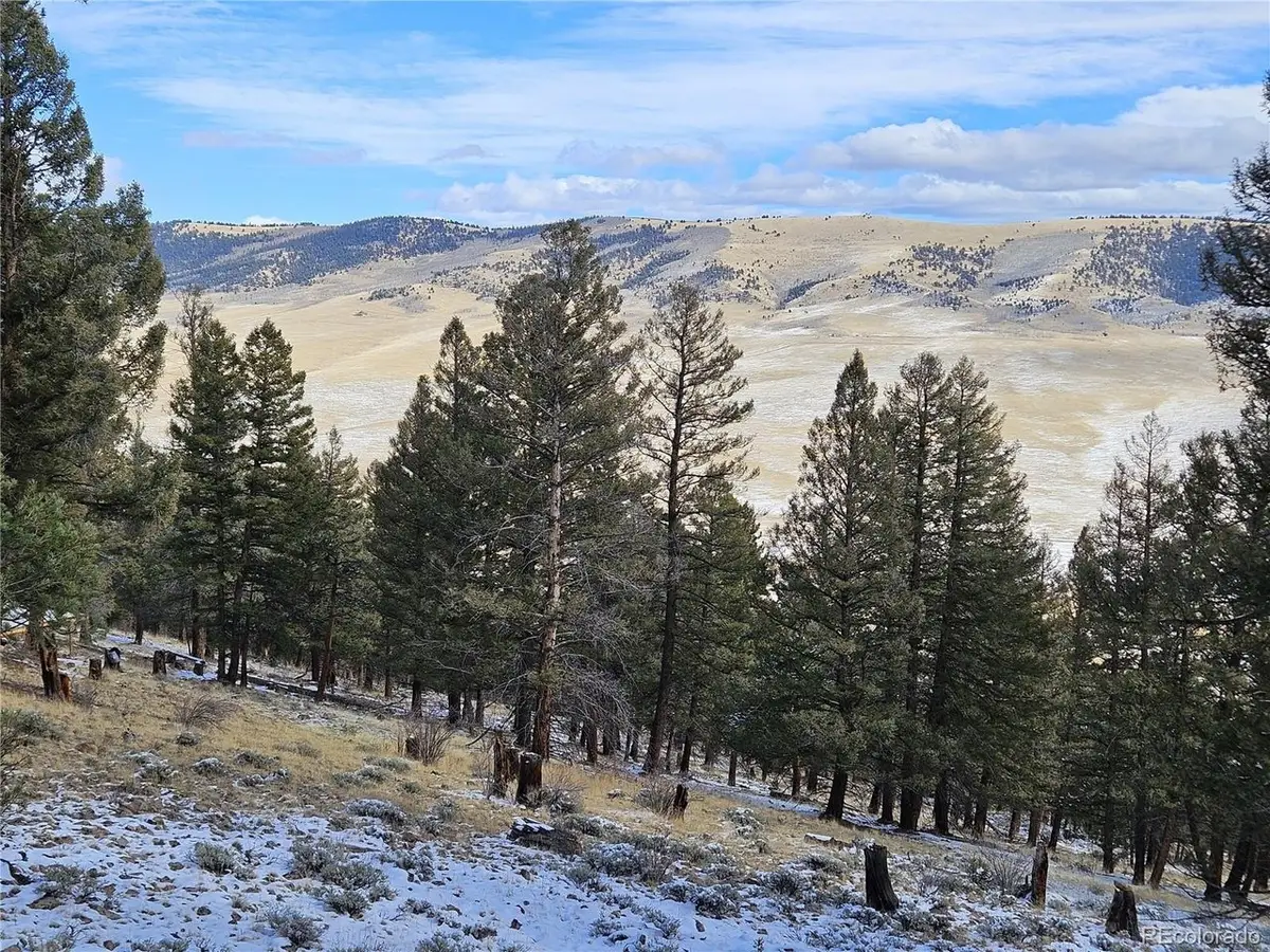 4260 Middle Fork Vista, Fairplay, CO 80440 - Image #1