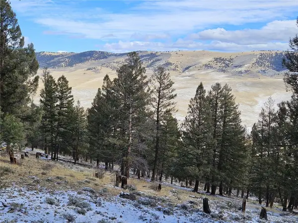 4260 Middle Fork Vista, Fairplay, CO 80440