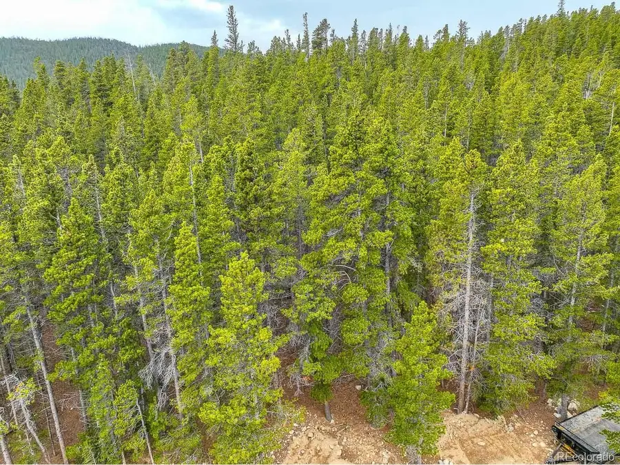 935 Silver Creek Rd, Idaho Springs, CO 80452 - Image #2