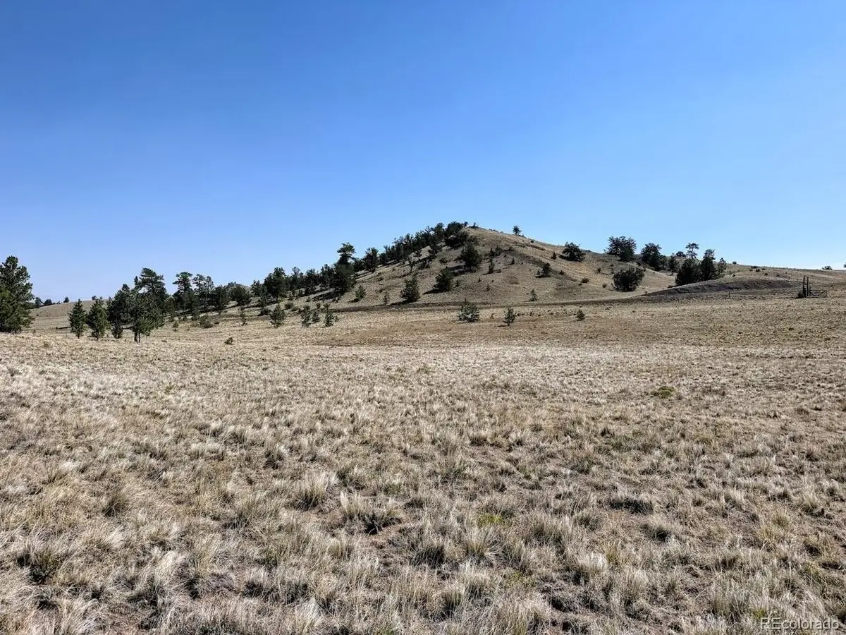 0 Falcon Rd, Hartsel, CO 80449 - #1