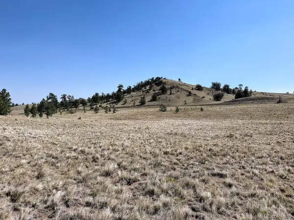 0 Falcon Rd, Hartsel, CO 80449