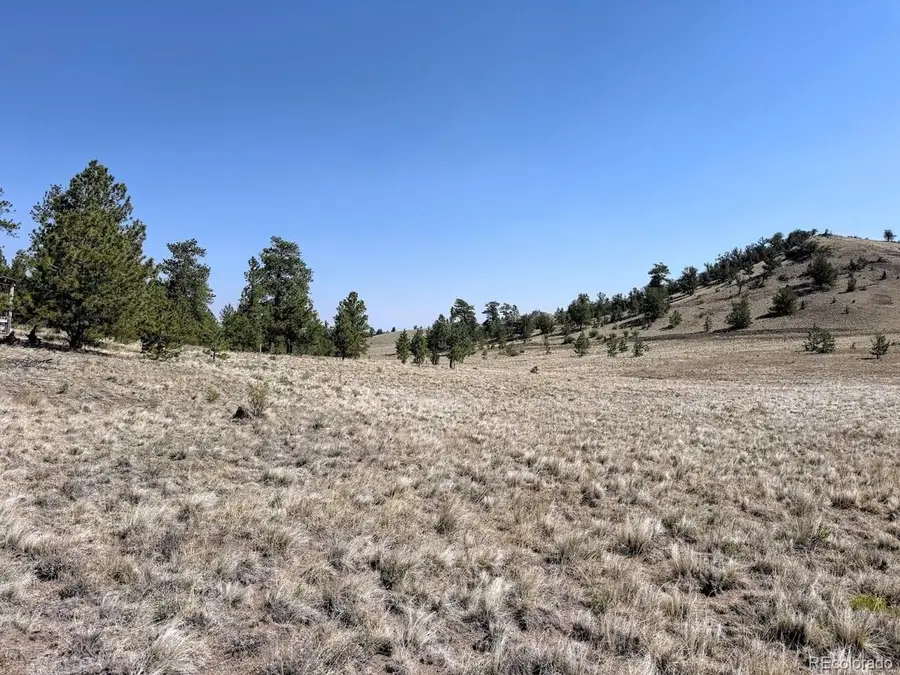 0 Falcon Rd, Hartsel, CO 80449 - #2