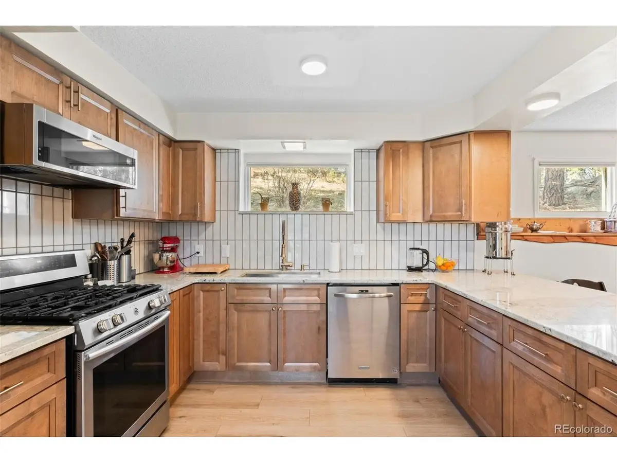 20 Long Ridge Dr, Bailey, CO 80421 - #1