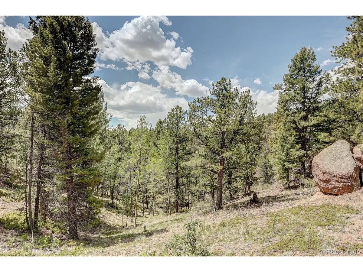 59 Robin Pt, Divide, CO 80814 - #1