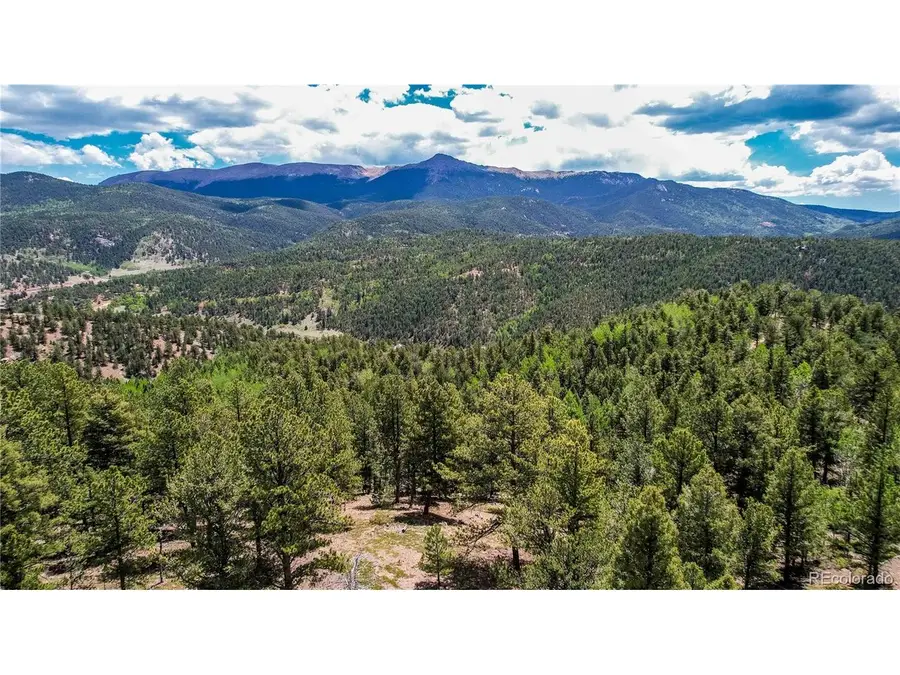 59 Robin Pt, Divide, CO 80814 - #2