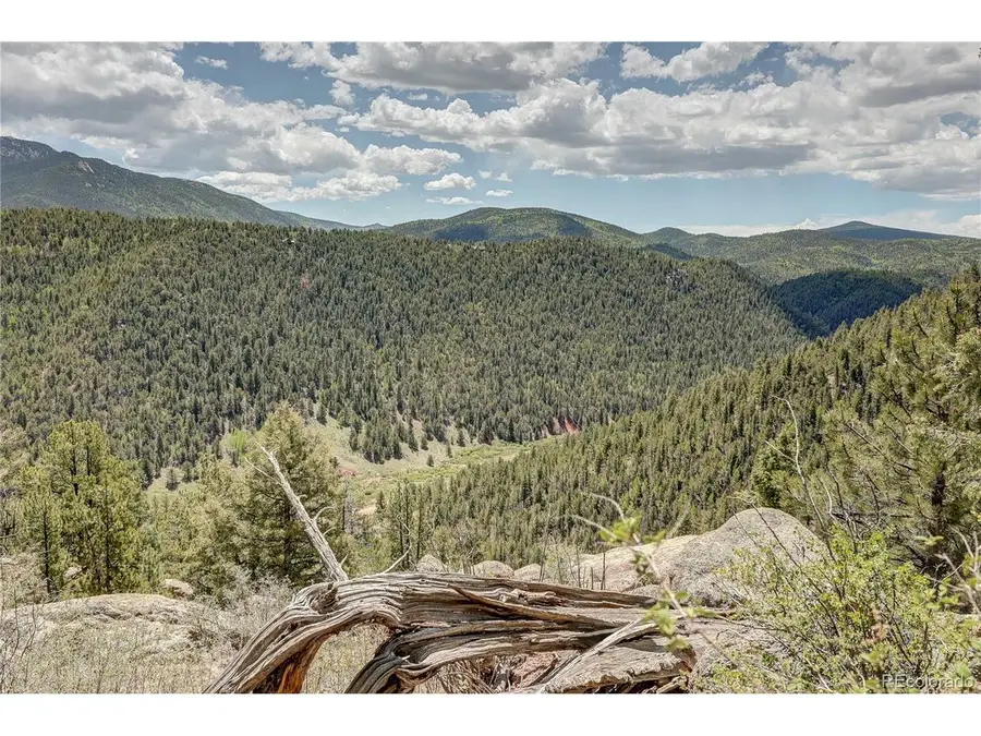59 Robin Pt, Divide, CO 80814 - #3