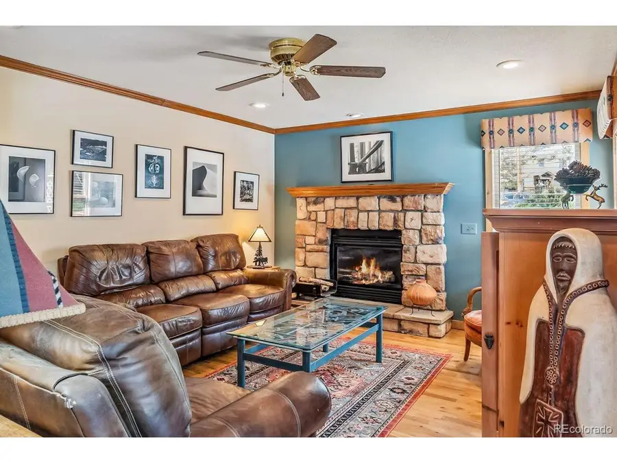 112 Grey Squirrel Ln, Breckenridge, CO 80424 - #3