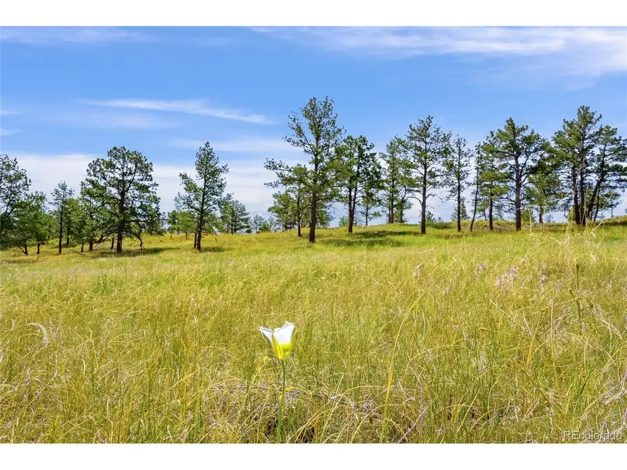 County Road 77, Calhan, CO 80808 - #2