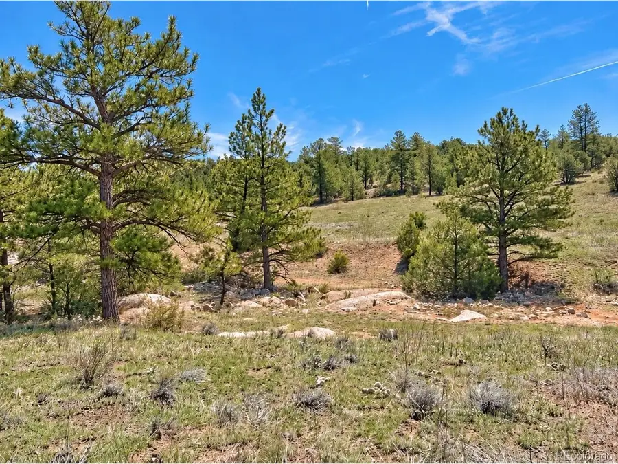 103 Cheyenne Ct, Cotopaxi, CO 81223 - #2